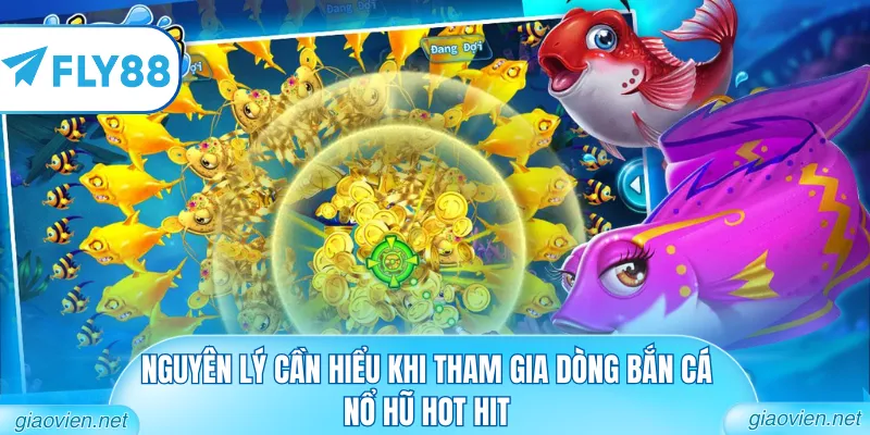 Nguyên lý cần hiểu khi tham gia dòng bắn cá nổ hũ hot hit