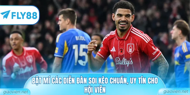 Bật mí các diễn đàn soi kèo chuẩn, uy tín cho hội viên