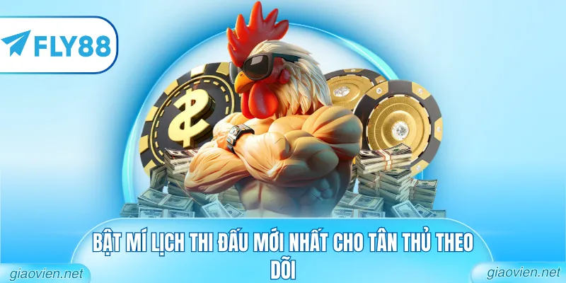 Bật mí lịch thi đấu mới nhất cho tân thủ theo dõi