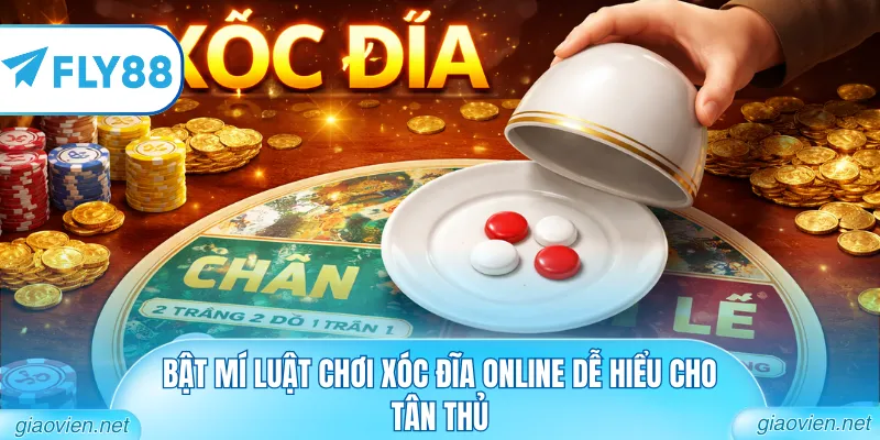 Bật mí luật chơi Xóc Đĩa online dễ hiểu cho tân thủ