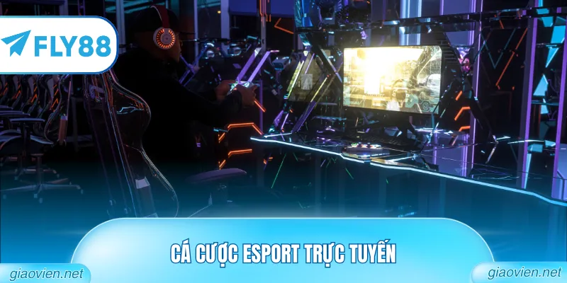 Cá cược Esport trực tuyến