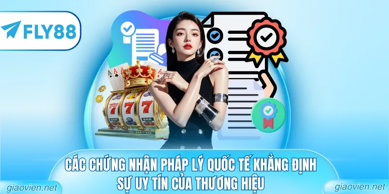 Các chứng nhận pháp lý quốc tế khẳng định sự uy tín của thương hiệu