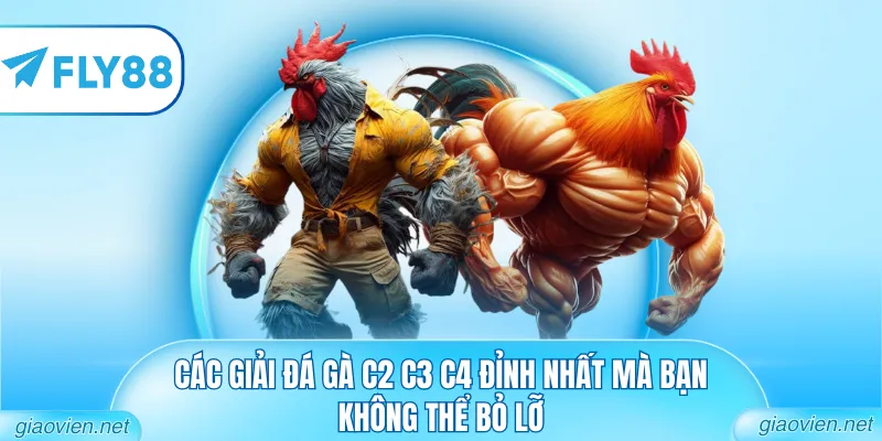 Các giải đá gà C2 C3 C4 đỉnh nhất mà bạn không thể bỏ lỡ