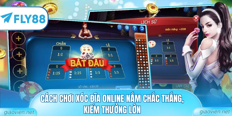 Cách chơi Xóc Đĩa online nắm chắc thắng, kiếm thưởng lớn