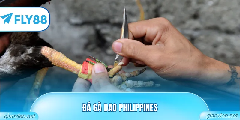 đá gà dao philippines