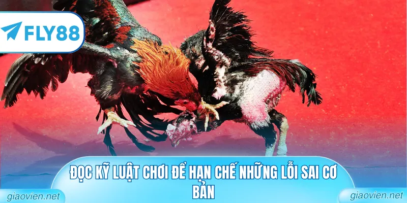 Đọc kỹ luật chơi để hạn chế những lỗi sai cơ bản
