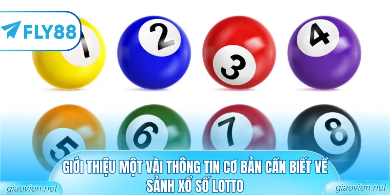 Giới thiệu một vài thông tin cơ bản cần biết về sảnh xổ số lotto