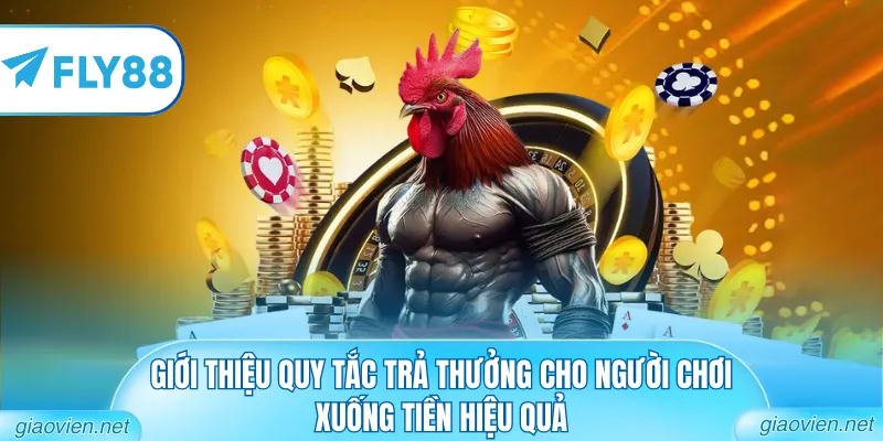 Giới thiệu quy tắc trả thưởng cho người chơi xuống tiền hiệu quả