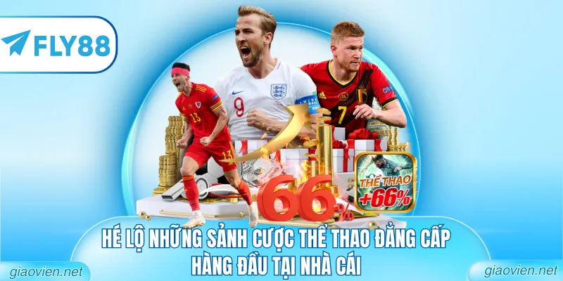 Hé lộ những sảnh cược thể thao đẳng cấp hàng đầu tại nhà cái