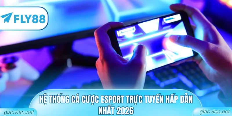 Hệ thống cá cược Esport trực tuyến hấp dẫn nhất 2026