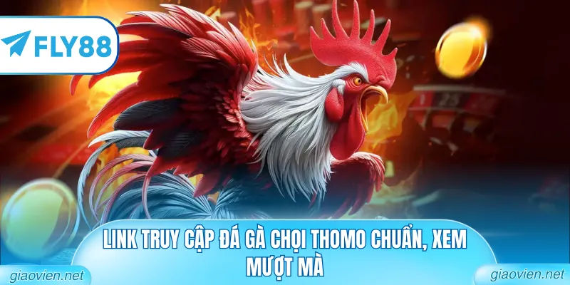Link truy cập đá gà chọi Thomo chuẩn, xem mượt mà
