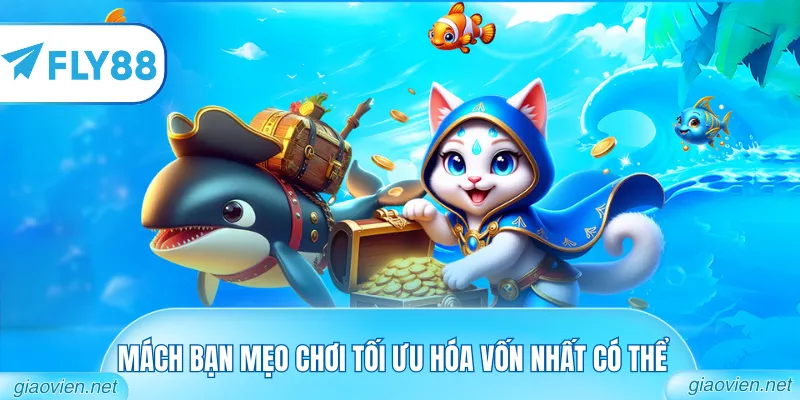 Mách bạn mẹo chơi tối ưu hóa vốn nhất có thể