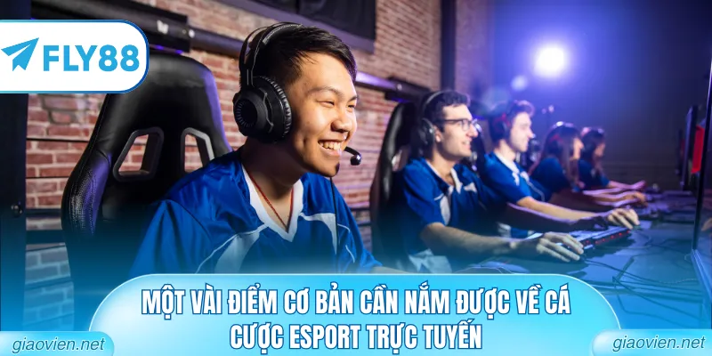 Một vài điểm cơ bản cần nắm được về cá cược Esport trực tuyến