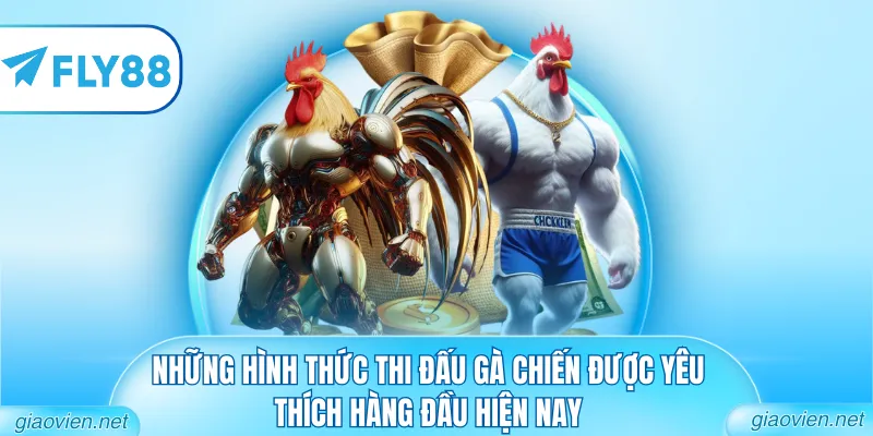 Những hình thức thi đấu gà chiến được yêu thích hàng đầu hiện nay