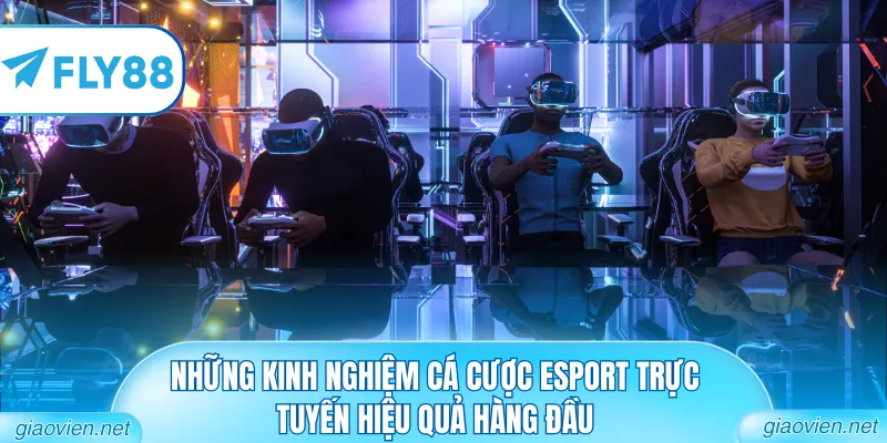 Những kinh nghiệm cá cược Esport trực tuyến hiệu quả hàng đầu