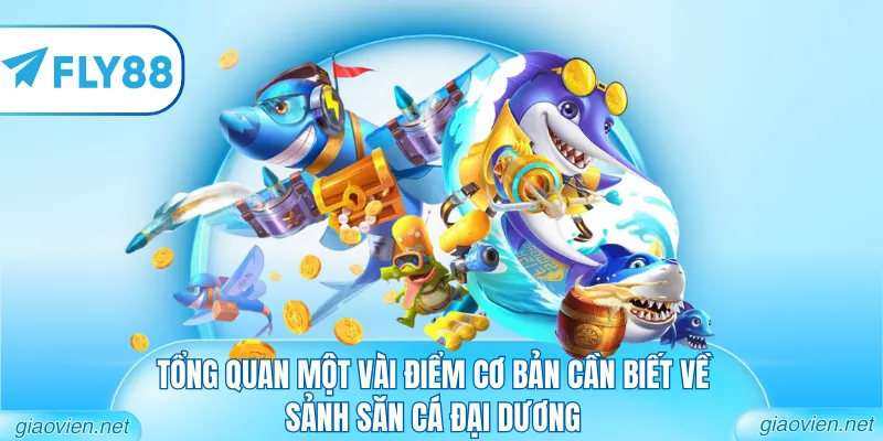 Tổng quan một vài điểm cơ bản cần biết về sảnh săn cá đại dương