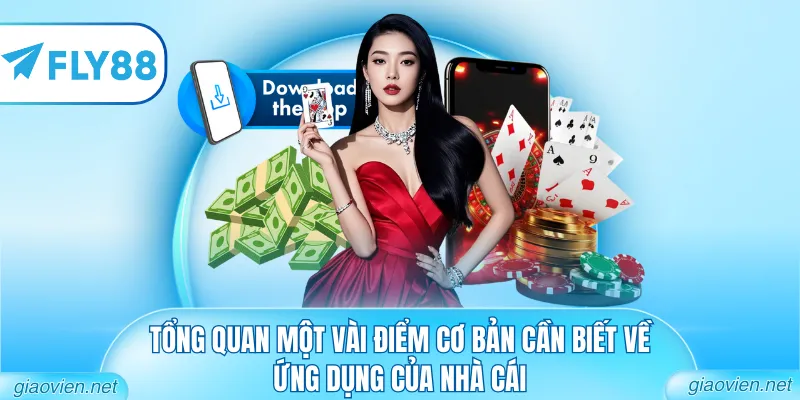 Tổng quan một vài điểm cơ bản cần biết về ứng dụng của nhà cái